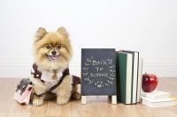 a back to school gift
